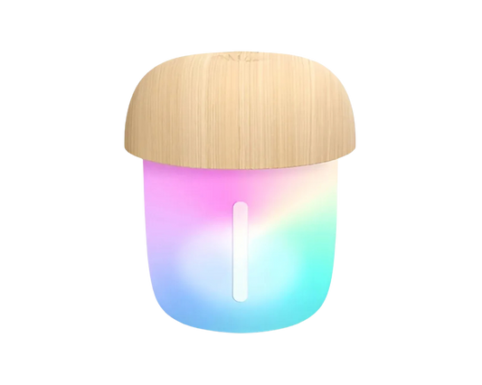 Mushroom Mini Air Humidifier